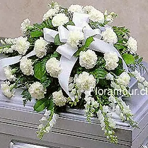 Óvalo cubre urna fúnebre de claveles y complementos