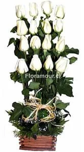 Vegetativo paralelo con rosas blancas