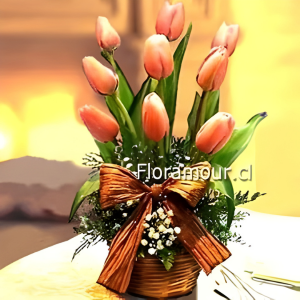 Coro de tulipanes holandeses
