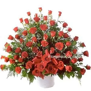 Impacto inolvidable 100 rosas ecuatorianas