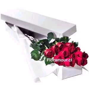 Caja de rosas importadas seleccionadas ecuatorianas