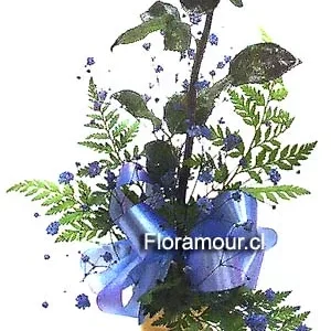 Rosa solitaria con tratamiento azul