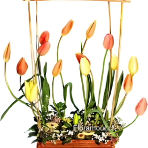 Bosque de tulipanes