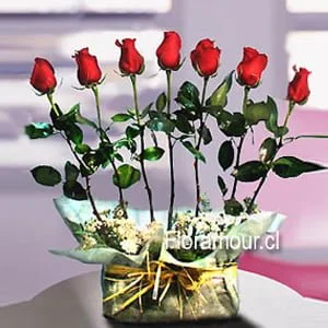 Arreglo de rosas en forma de arpa