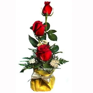 Saquito vertical con rosas ecuatorianas