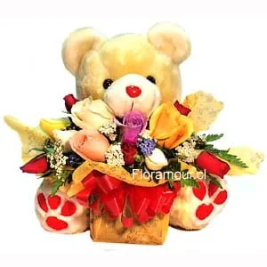 Oso de peluche con doce rosas agrupadas