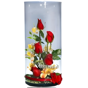 Arreglo de rosas en interior de vaso de cristal