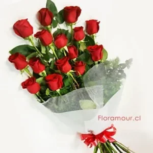 Ramo de 15 rosas