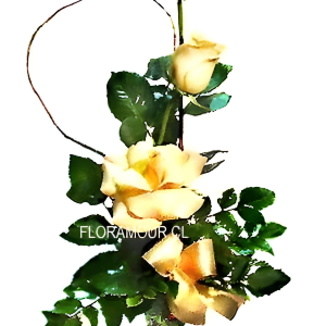 Arreglo vertical de rosas en florero