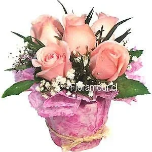 Nido de rosas versailles