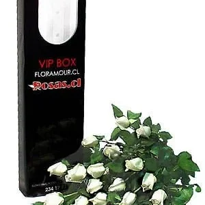 Tuxedo box deluxe - Caja V.I.P. con 25 rosas extra