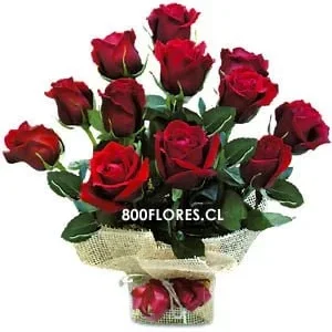 Saco de rosas ecuatorianas