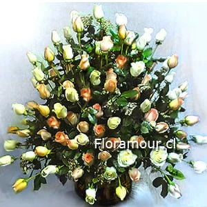 Middle East - Arreglo de 100 rosas pastel