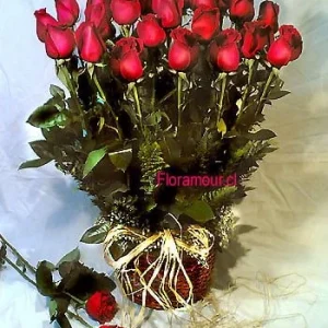Grand country - Arreglo de lujo de 25 rosas ecuatorianas