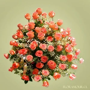 Glamour Roses