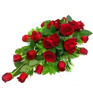 Lagrima de rosas - Óvalo cojí­n