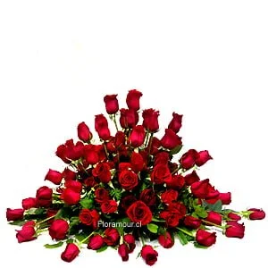Sicilia - Spray de rosas
