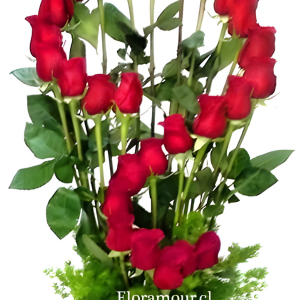 Arreglo de rosas en forma de signo de interrogación