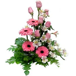 Jardin Arrimo Helen