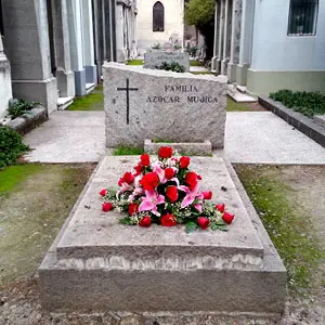 In memoriam a distancia