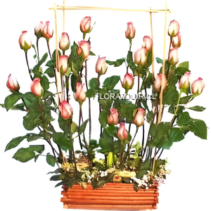 Bosque de rosas