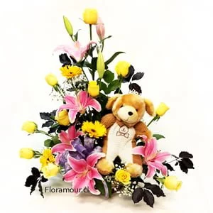Welcome - Arreglo floral con peluche
