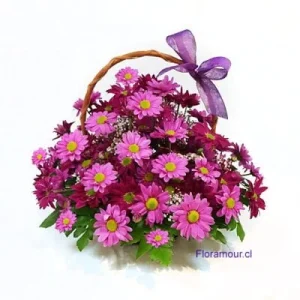 Sweet dreams - Canasta de margaritas violeta