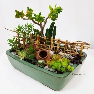 Mini jardín de suculentas y cactus
