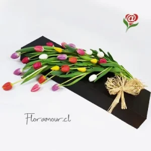 Barcelona - Caja de 24 tulipanes