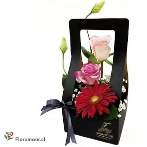 Ecoframe Prêt-à-porter - Caja canasto colgante
