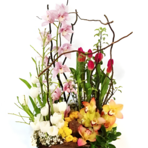 Jardín exótico - Arreglo de tulipanes y orquídeas