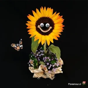 Genaro - El girasol de ojos locos