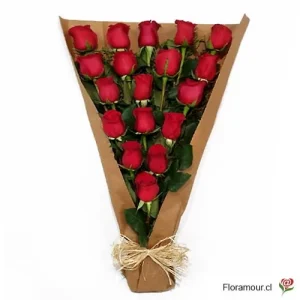 Delia - Ramo de 18 rosas