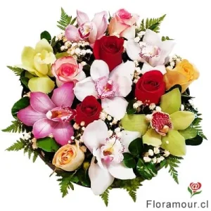 Waldorf - Bandeja compacta pavé de orquídeas y rosas
