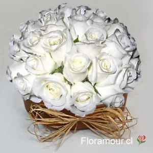 Pavé de 25 Rosas