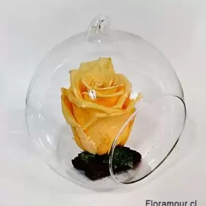 Esfera De Vidrio Con Rosa Preservada Pastel