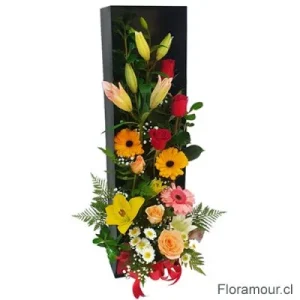 Open box - Caja con flores combinadas