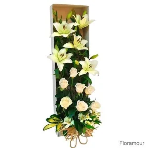 Open box blanca