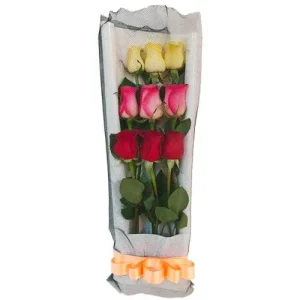 Nine - Ramo de 9 rosas variadas
