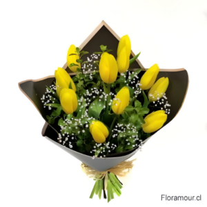 Ramo de Tulipanes