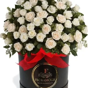 Magnifica - Caja redonda tambor de rosas de lujo con 100 rosas importadas