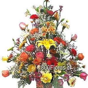 Arreglo frontal primaveral
