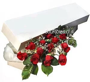 Caja con 12 rosas importadas de Ecuador