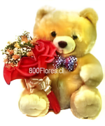 Besito de seda - Osito de peluche con ramo de rosas