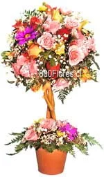 Arbol de la primavera