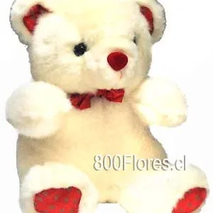 Oso de peluche