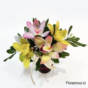 Maximun Arreglo de Orquídeas