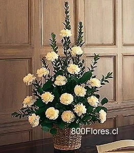 Carnations arrangement