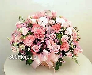 Fresh flowers with pink roses and mixed carnations