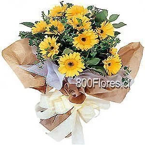 Gerbs bouquet